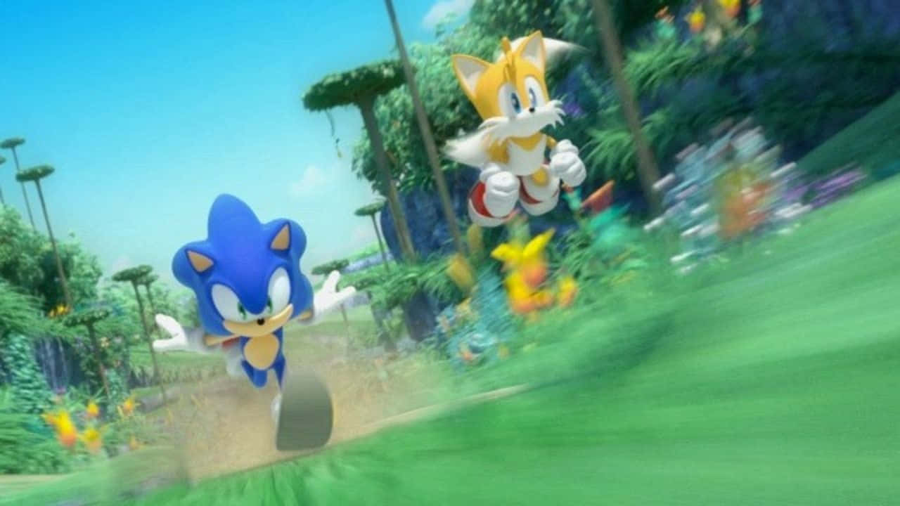 Sonicthe Hedgehog Y Sonic The Hedgehog Corriendo A Través De Un Bosque. Fondo de pantalla