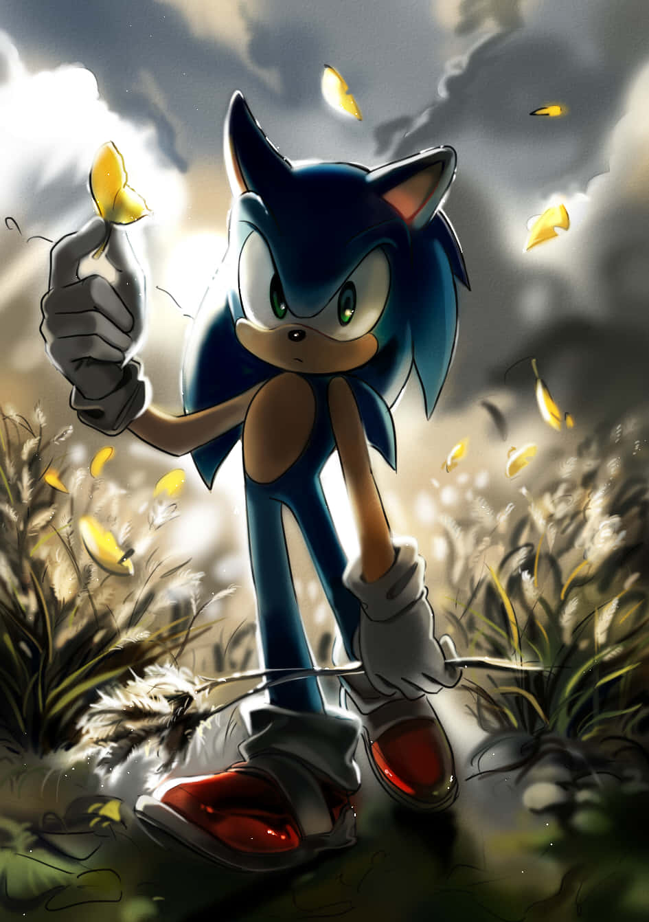 Sonicthe Hedgehog: Arte Fanático Lleno De Acción Fondo de pantalla