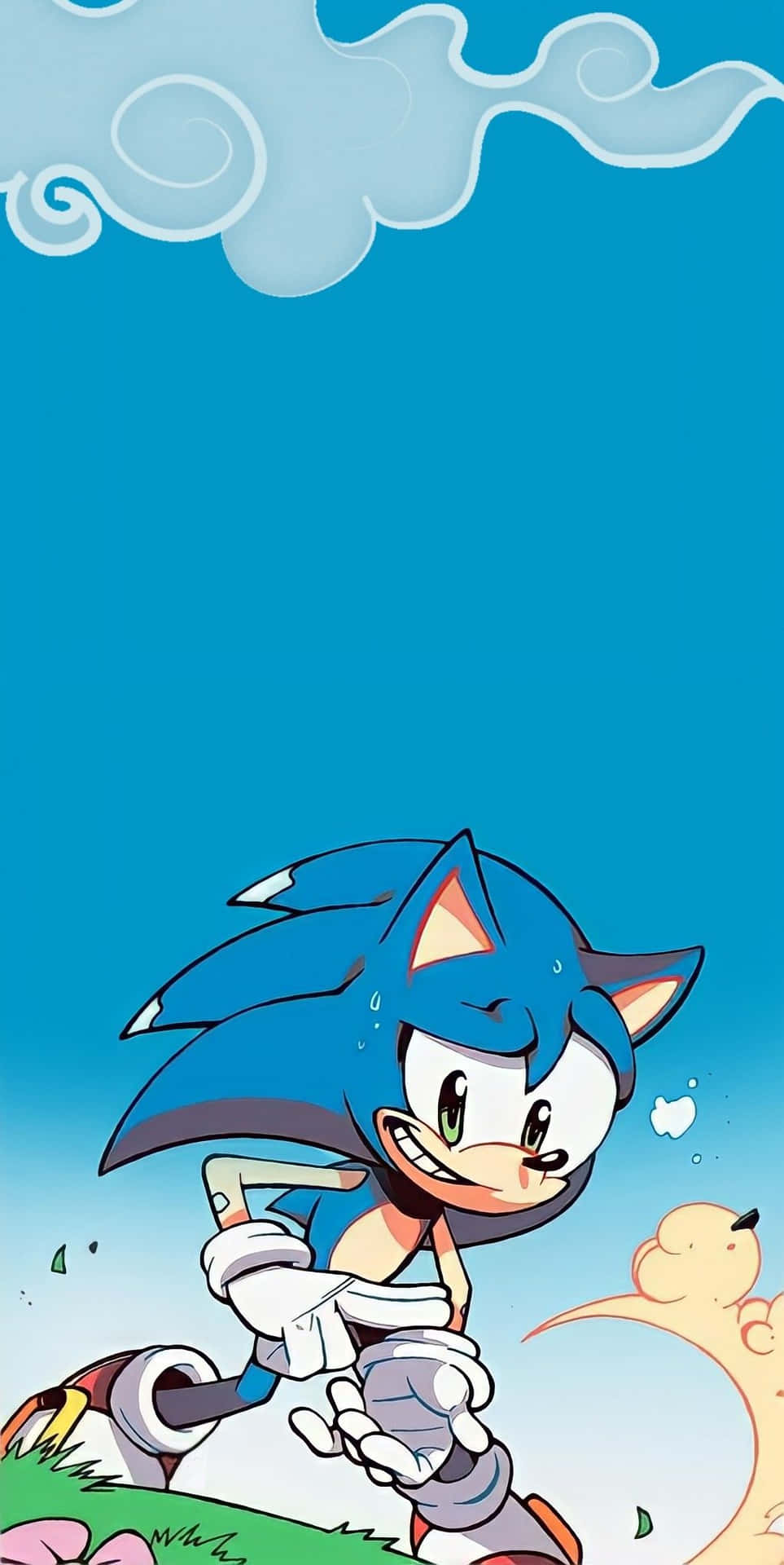 Sonic The Hedgehog By Sonic The Hedgehog Wallpaper