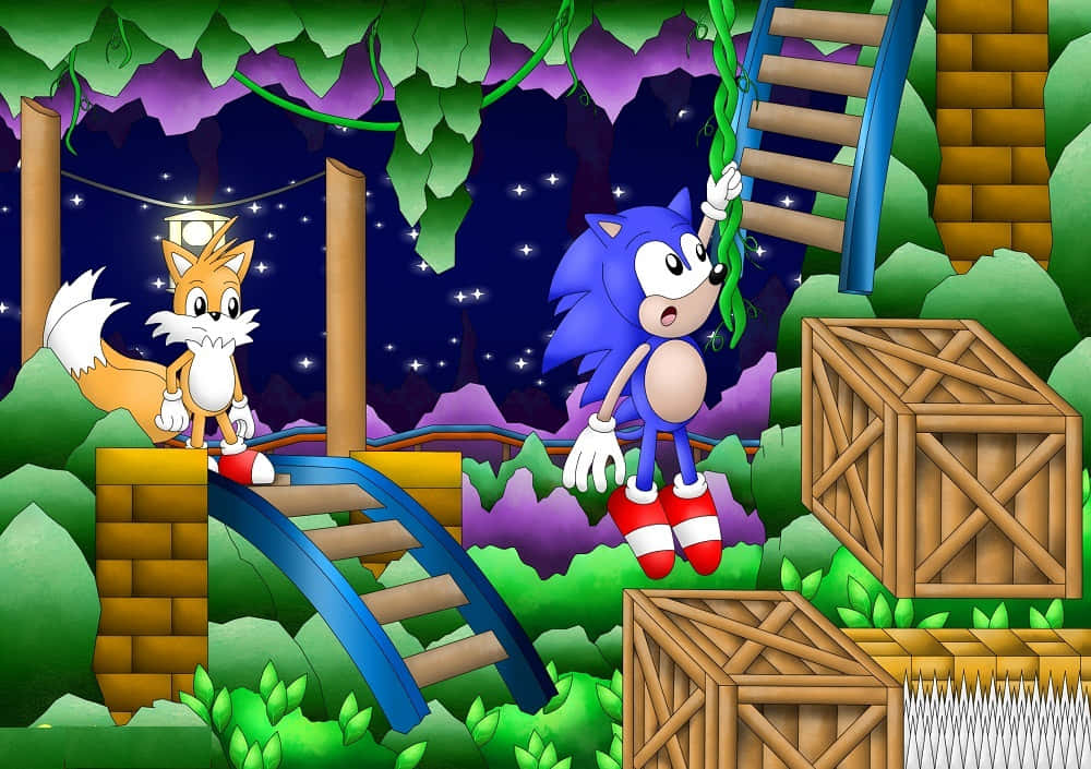 Sonic Exploring Mystic Cave Zone Wallpaper