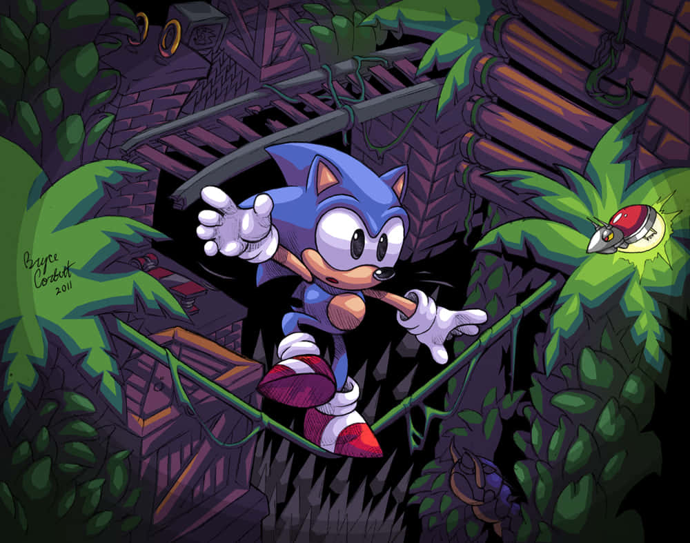 Sonic the Hedgehog Exploring the Enigmatic Mystic Cave Zone Wallpaper