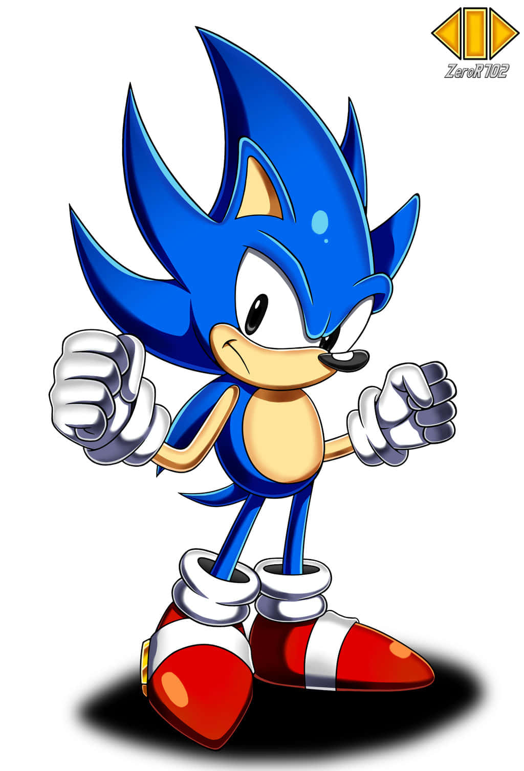 Hop med Sonic på farten!