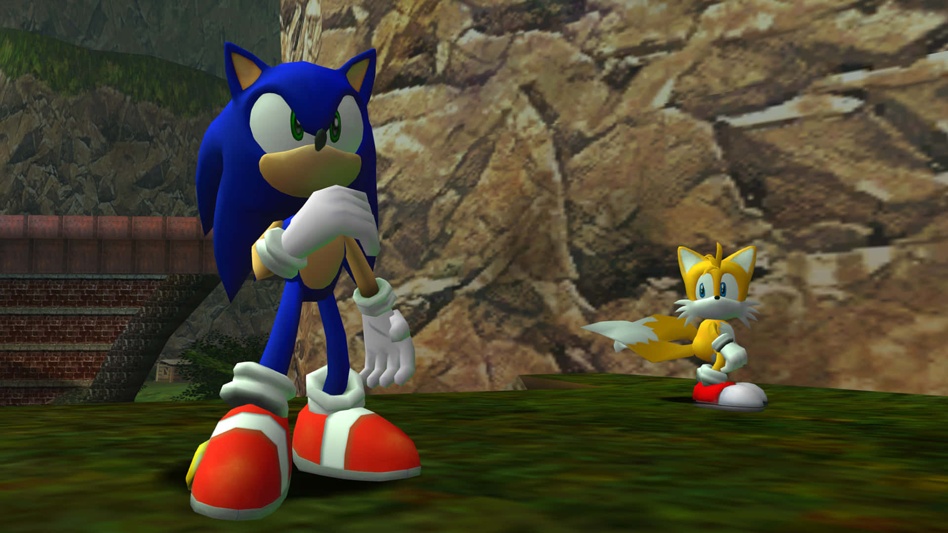 Sonic og Sonic Hedgehog i en spilscene