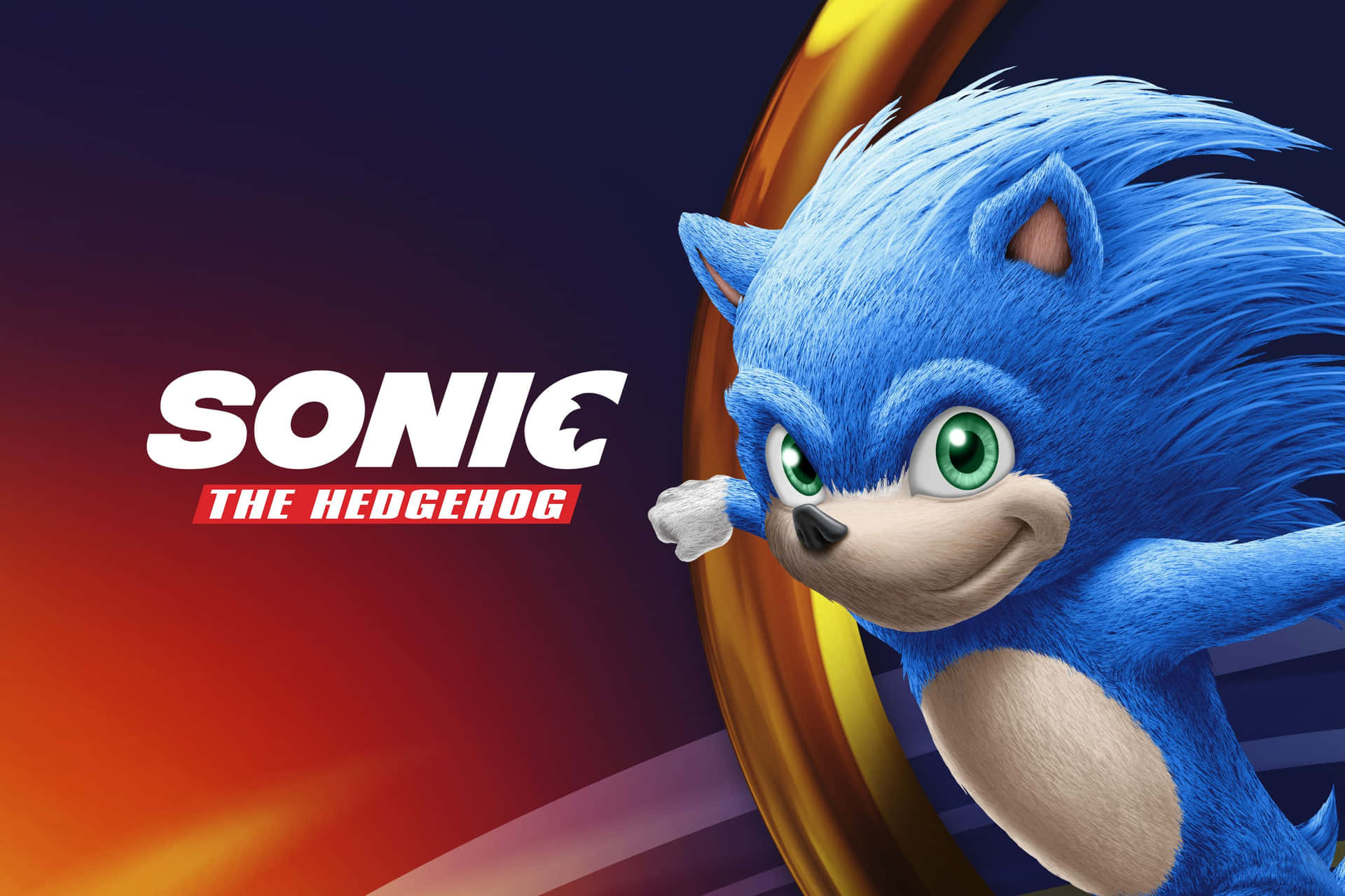 Sonicthe Hedgehog Corre Contra O Tempo. Papel de Parede