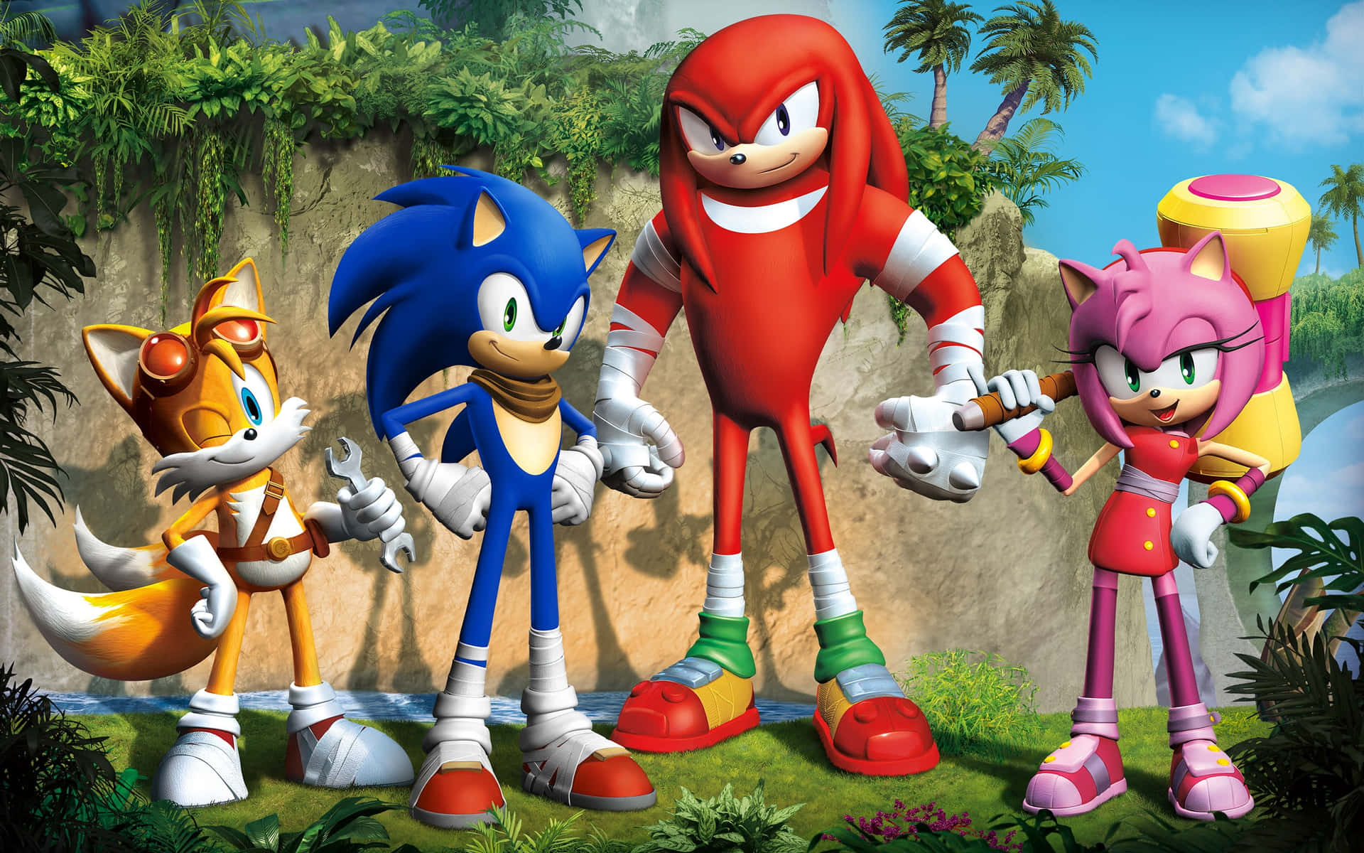 Sonic The Hedgehog Characters in Action Wallpaper