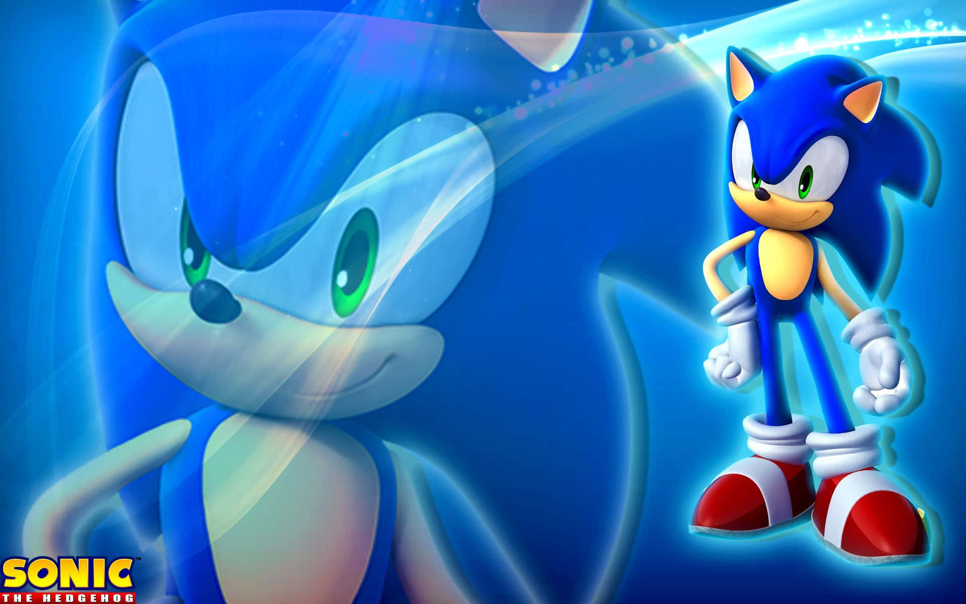 Sonic The Hedgehog Characters in Action Wallpaper