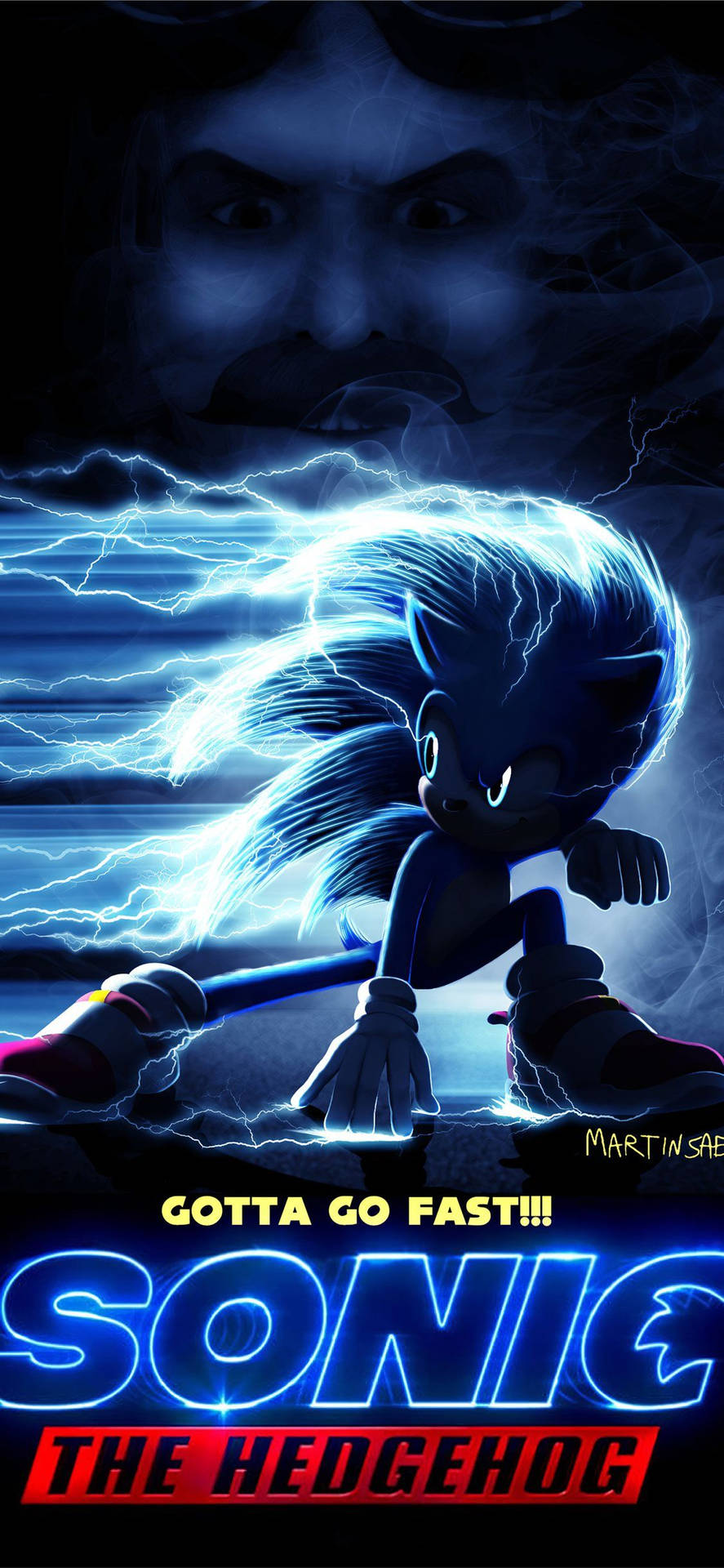 Sonic The Hedgehog Gotta Go Fast Picture