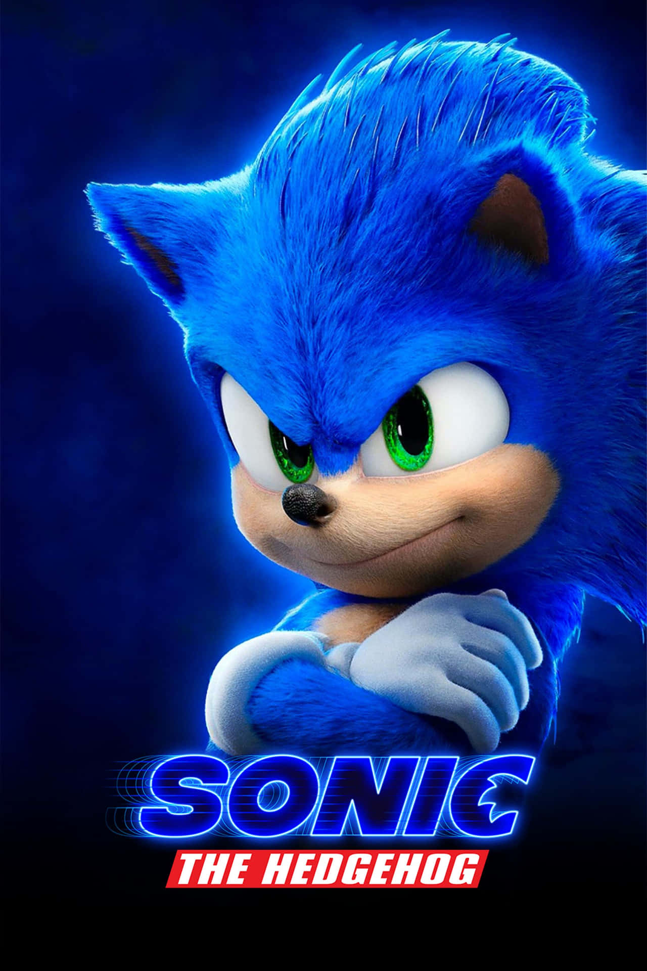 Pôsterdo Filme Sonic The Hedgehog