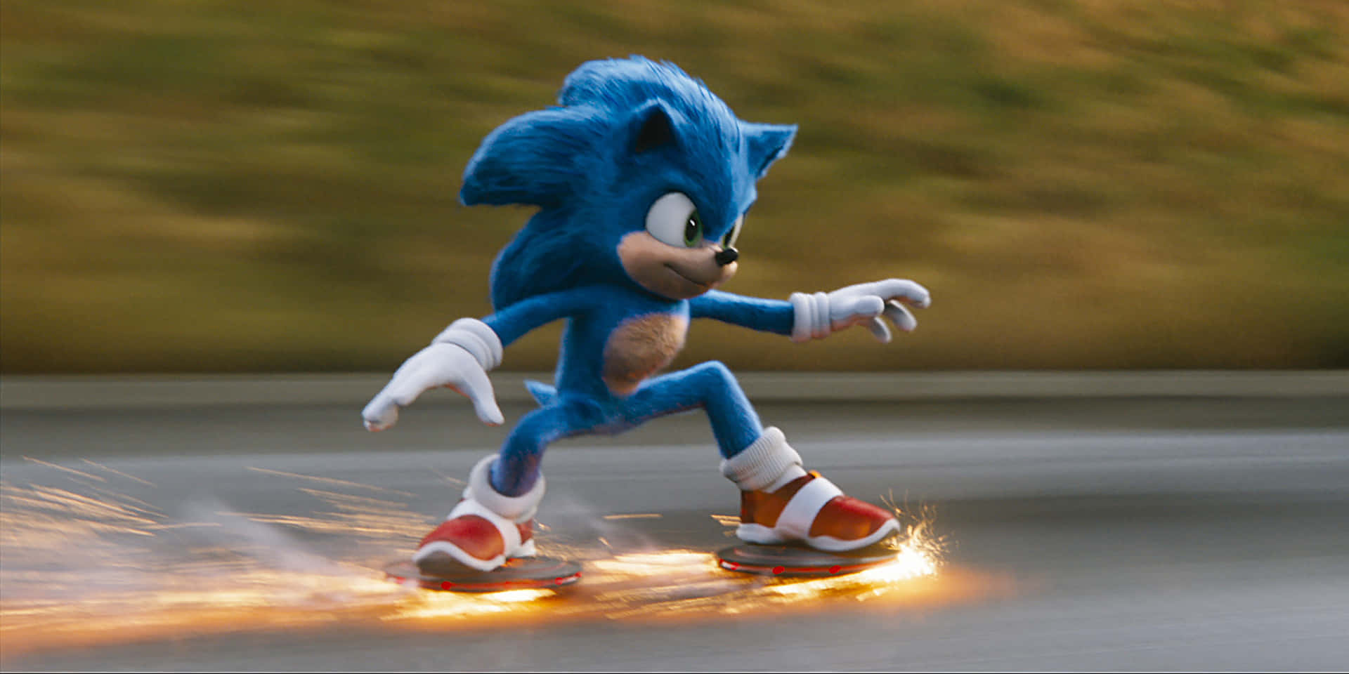Sonic the Hedgehog on an Adventurous Journey