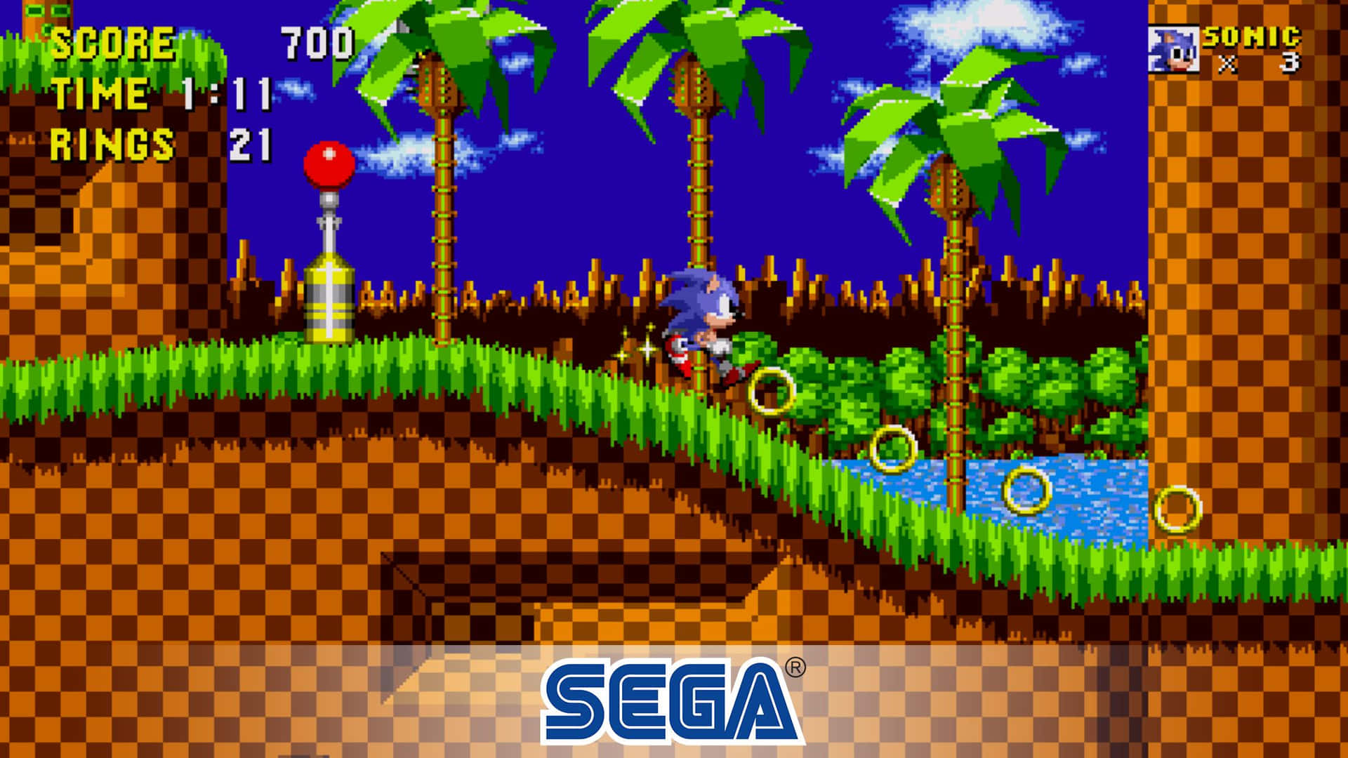 "The legendary Sonic, leaping with speed and agility."