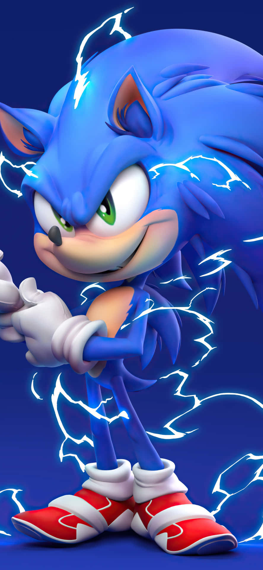 Sonic The Hedgehog enjoying a moment of freedom