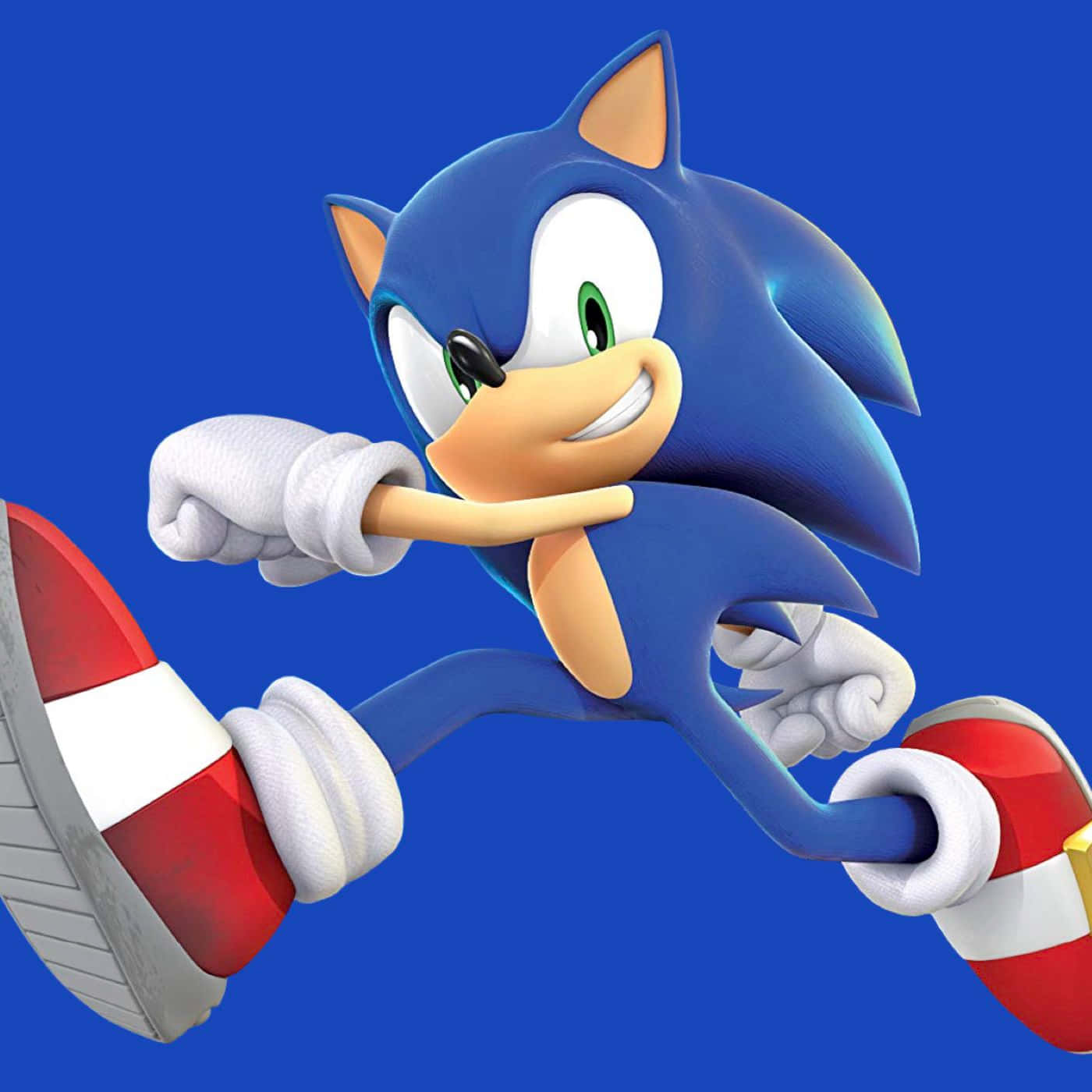Sonic The Hedgehog running through Sonic World