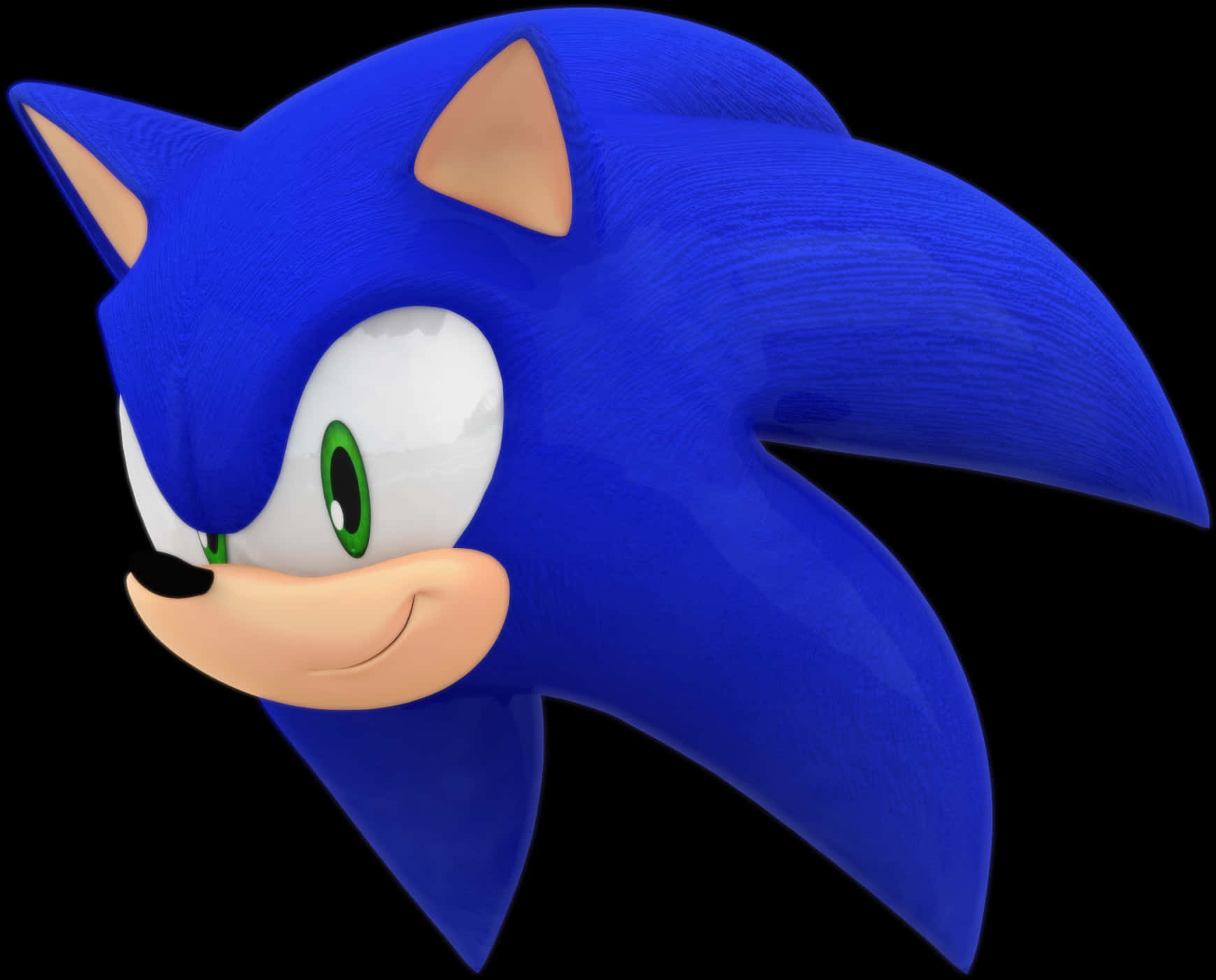 Sonic The Hedgehog Profile View PNG