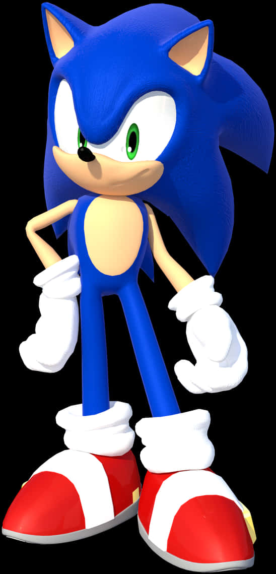 Sonic The Hedgehog Standing Pose PNG