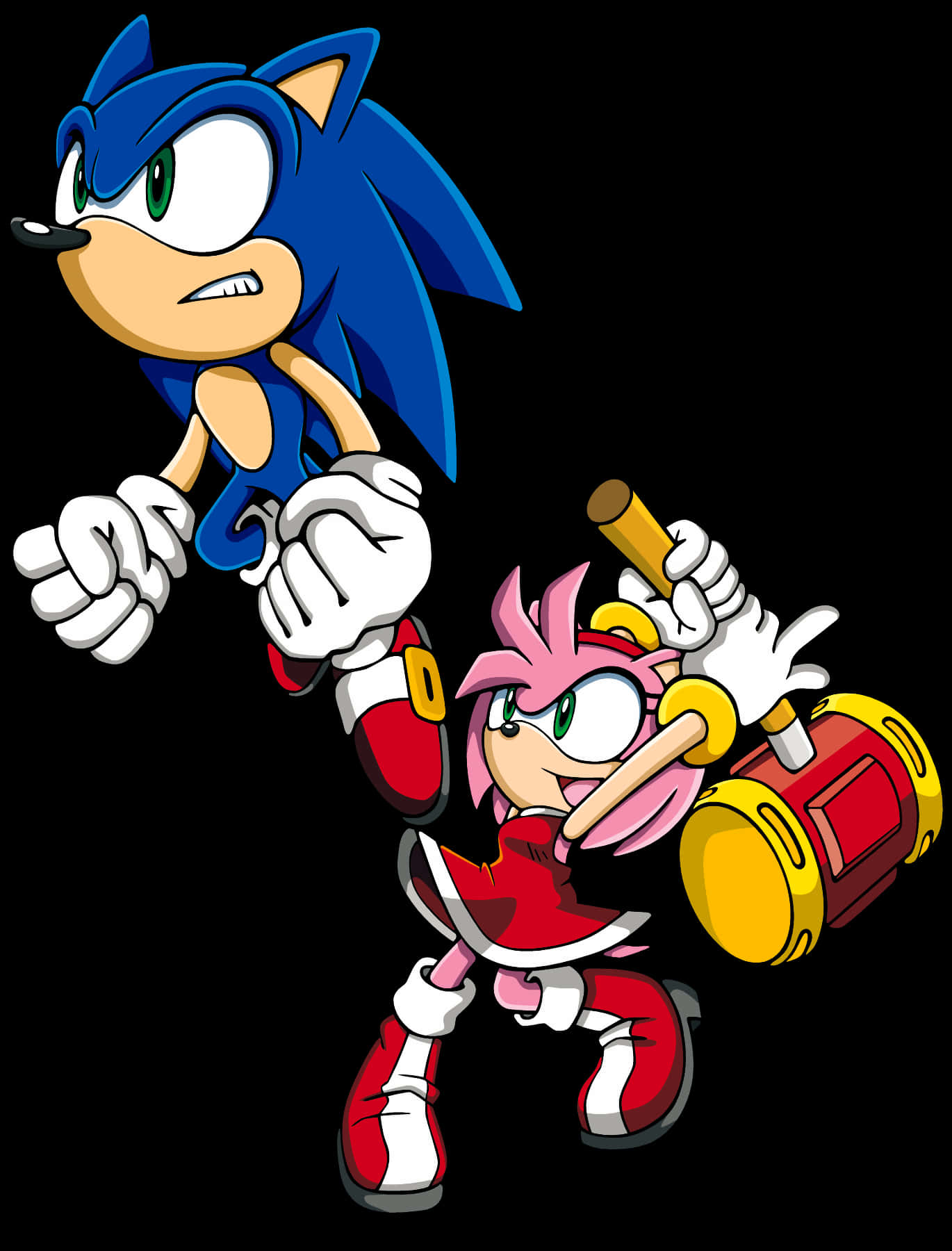 Sonicand Amy Rose Characters PNG