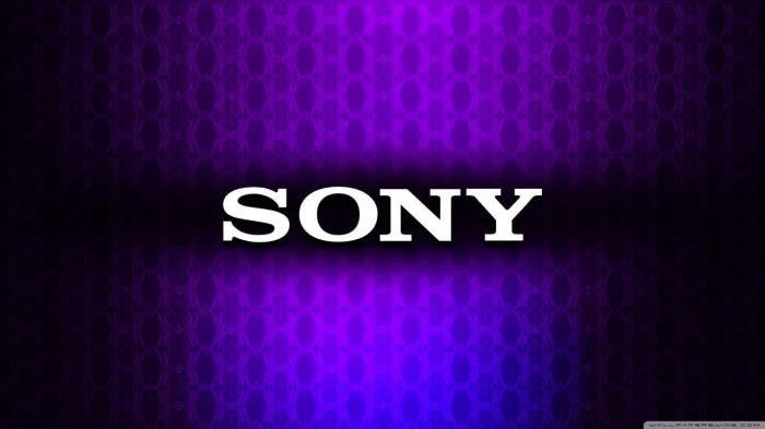 Logode Sony En Negro Y Morado Fondo de pantalla