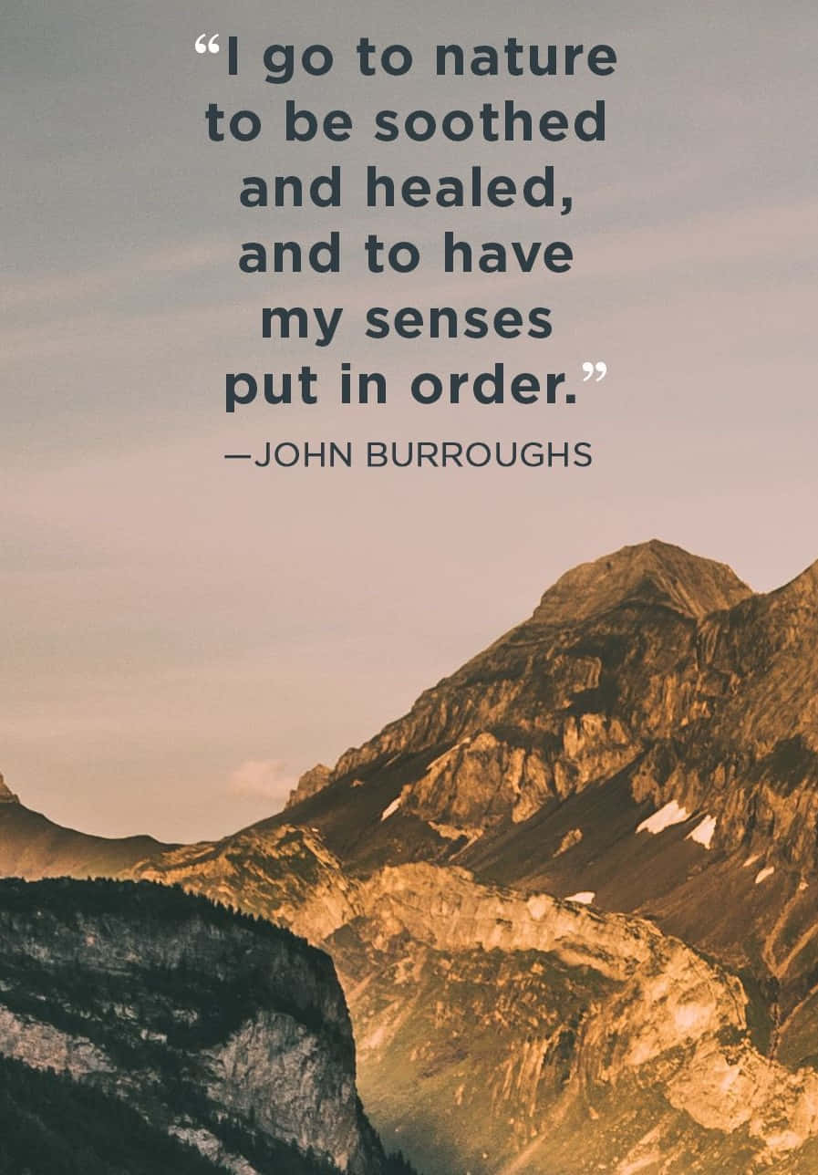 Soothing_ Nature_ Quote_ John_ Burroughs Wallpaper