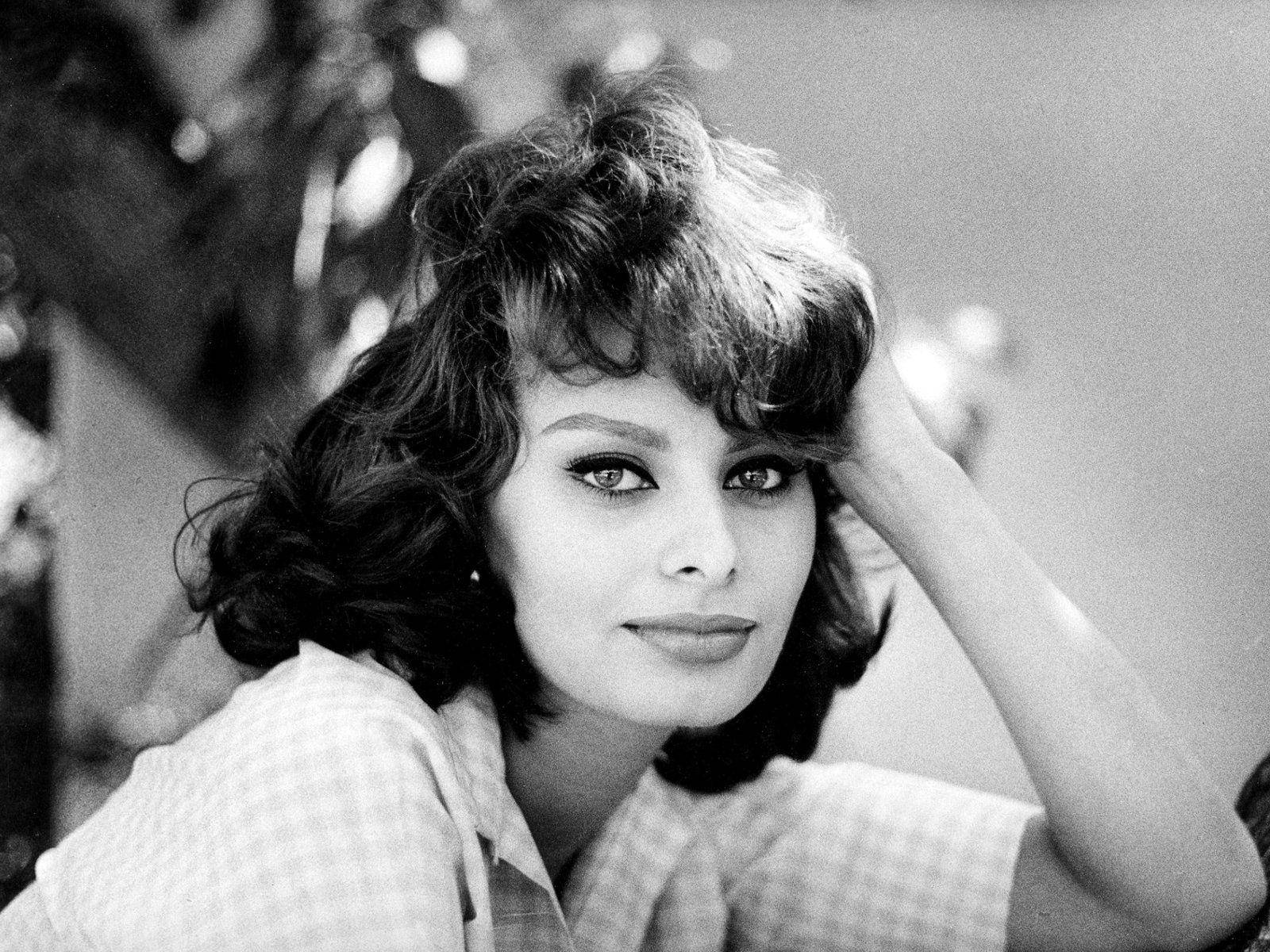Fotoartistica Di Sophia Loren Sfondo