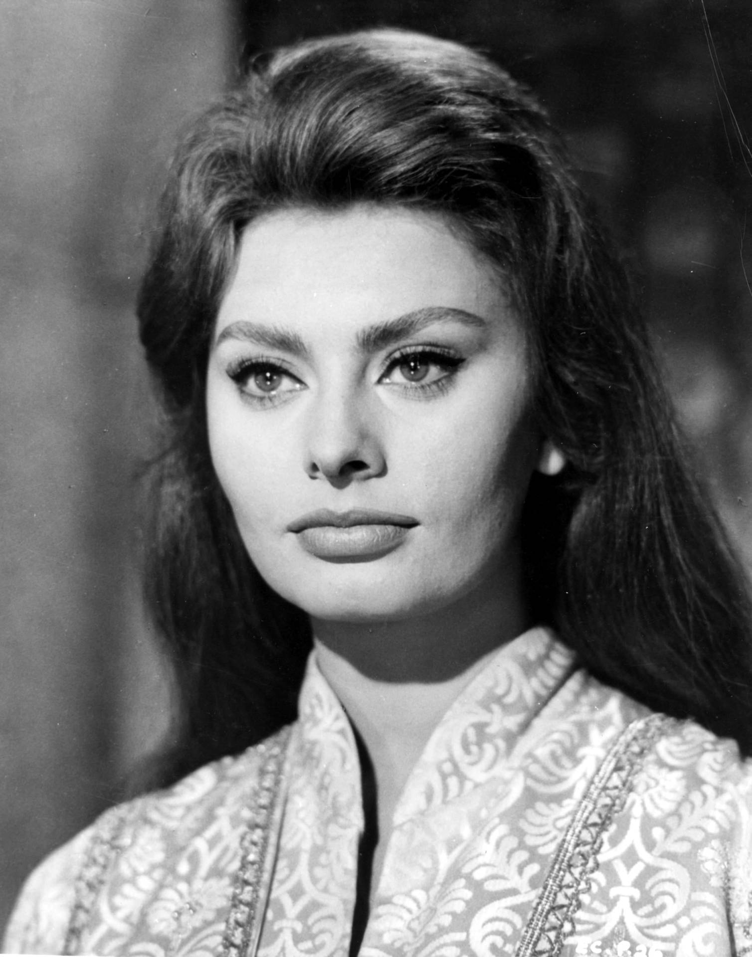 Sophia Loren As Chimene Wallpaper