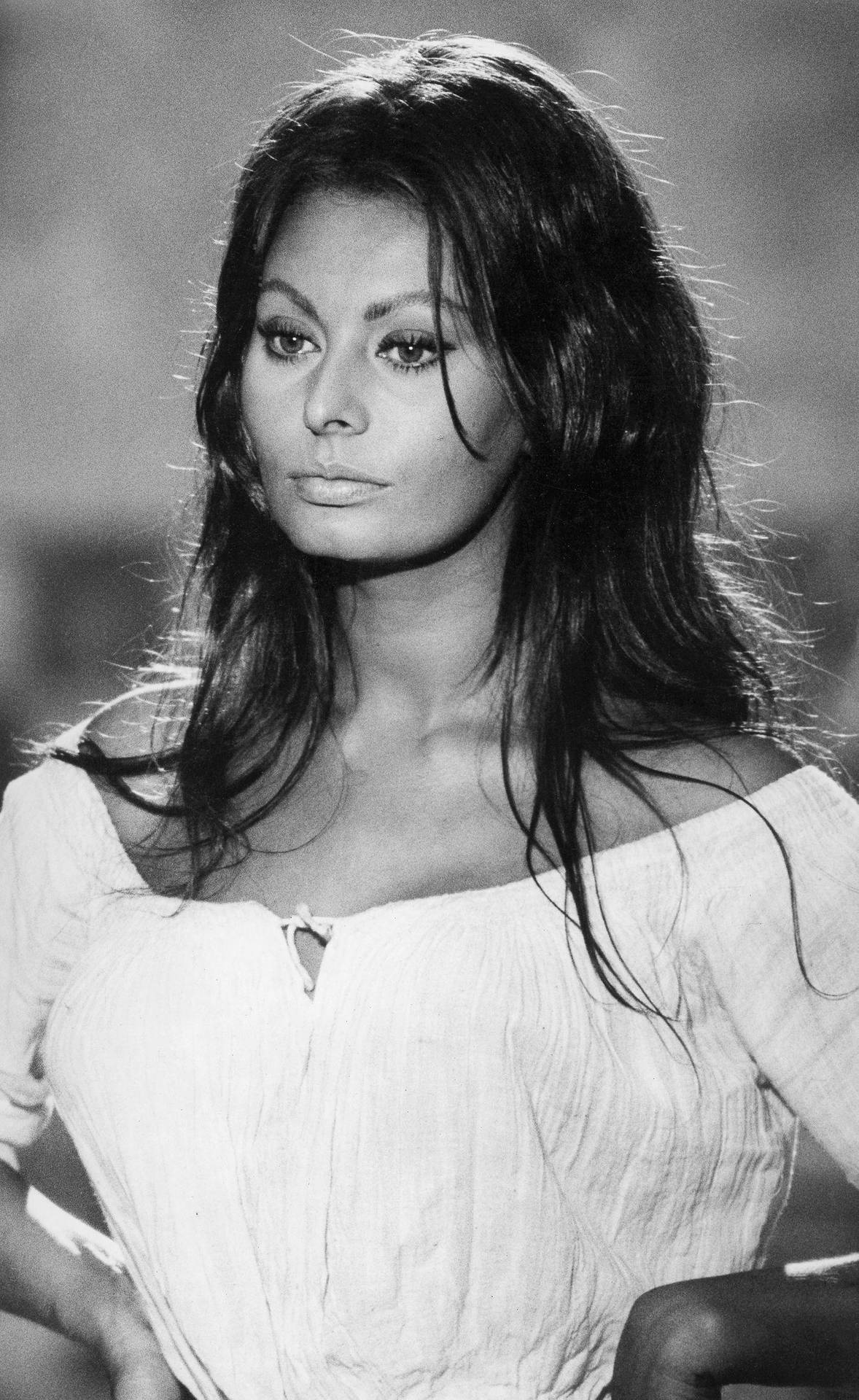 Sophia Loren 1424 X 2321 Wallpaper