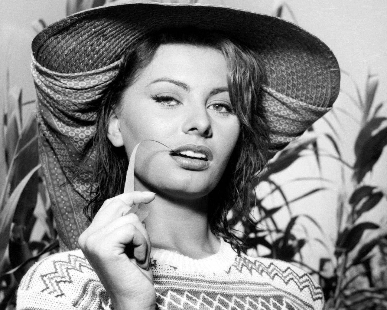 Sophia Loren As Nives Mangolini Background