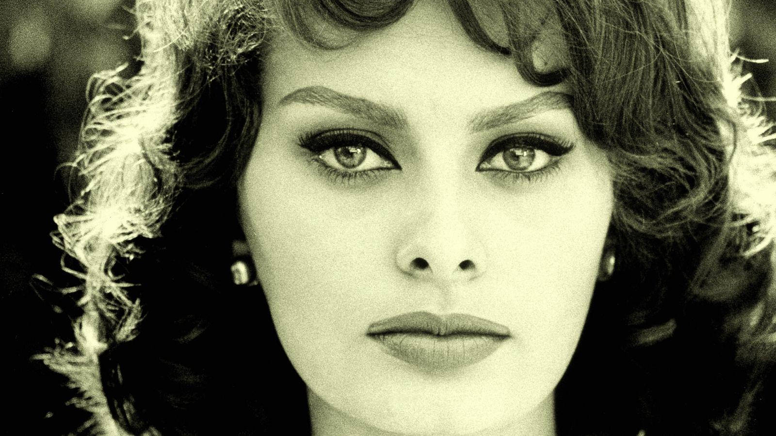 Sophia Loren Beautiful Headshot 1964 Picture