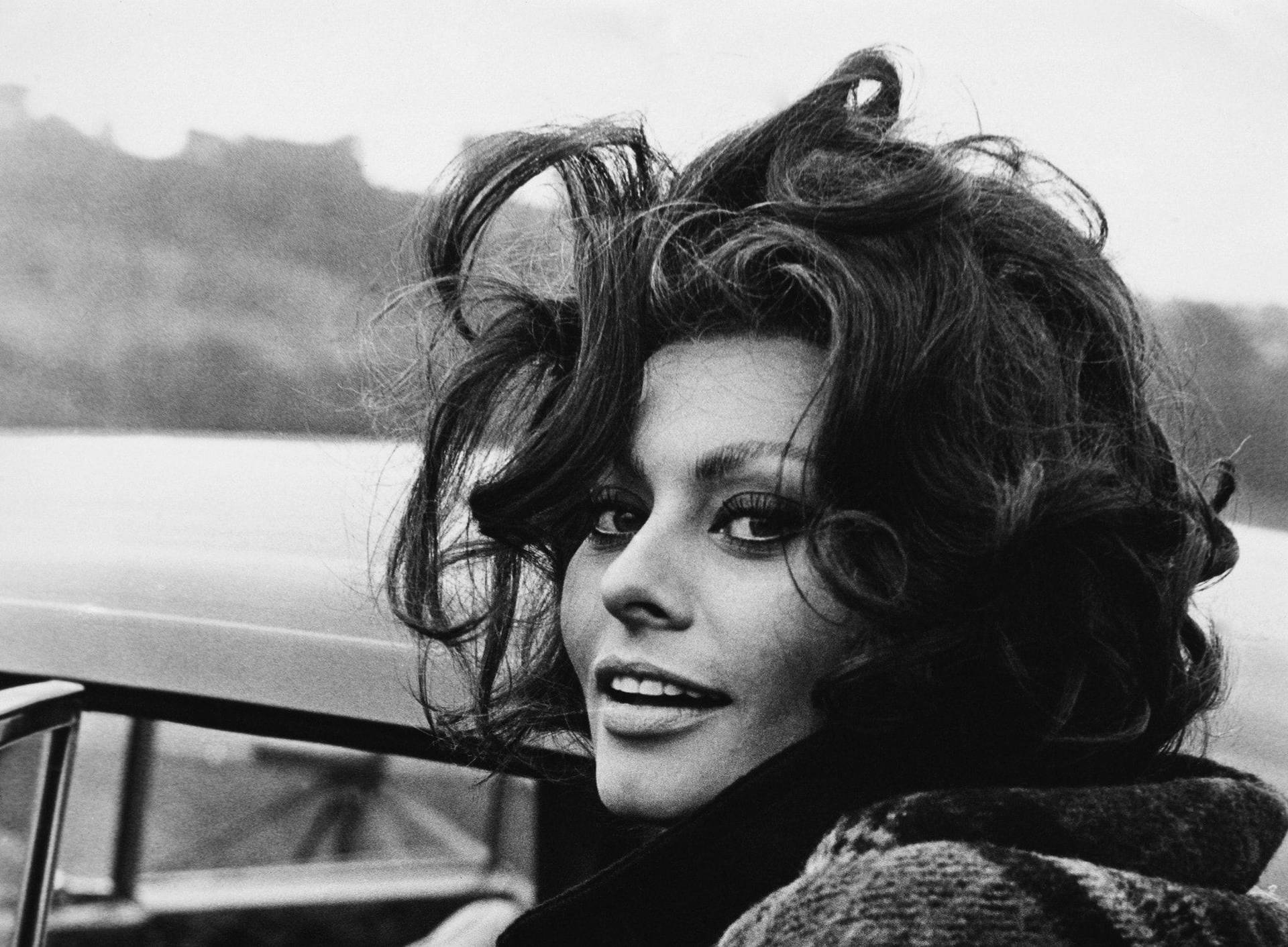 Sophia Loren In South Wales Wallpaper