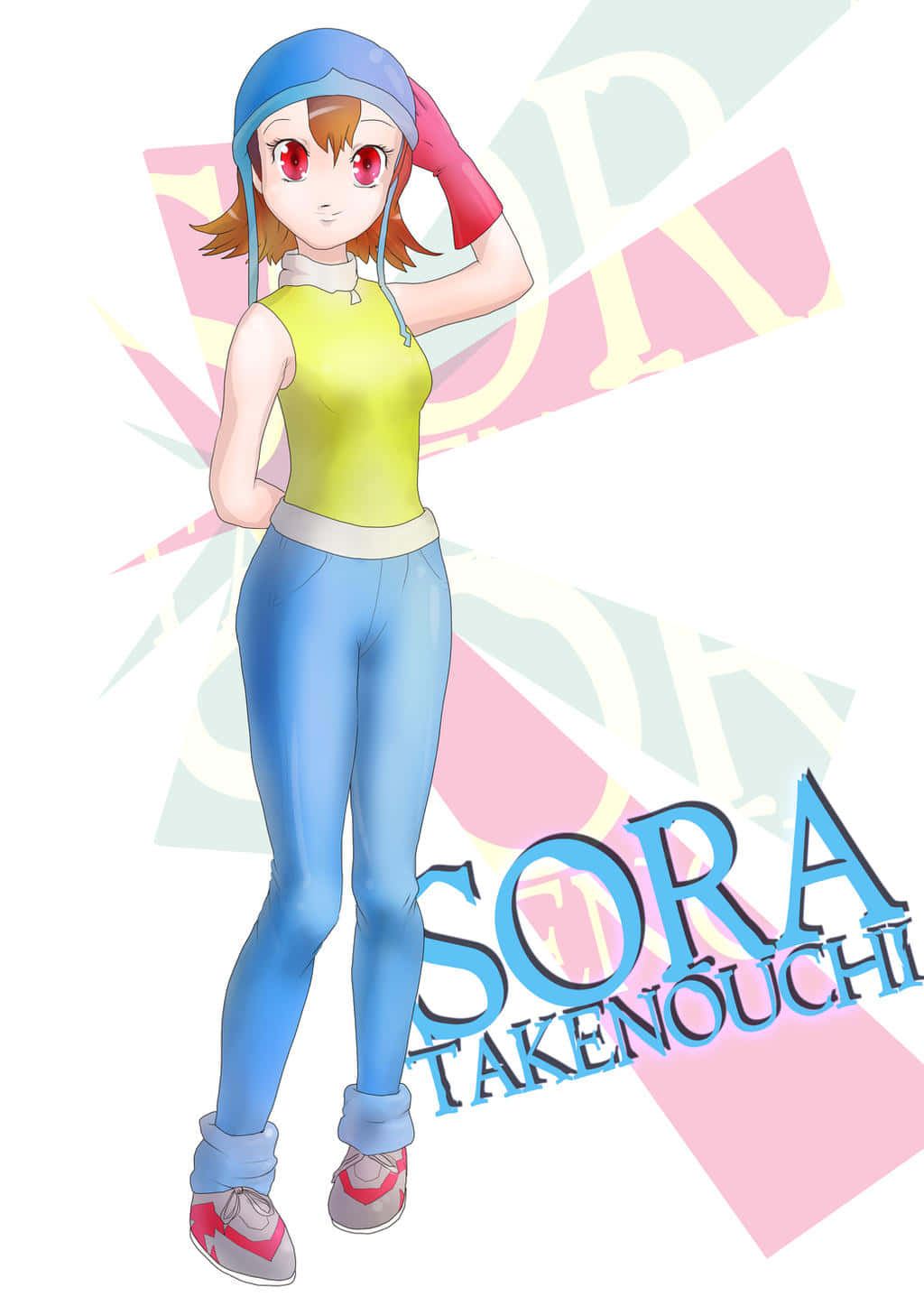 Sora Takenouchi From Digimon Adventure Series Wallpaper