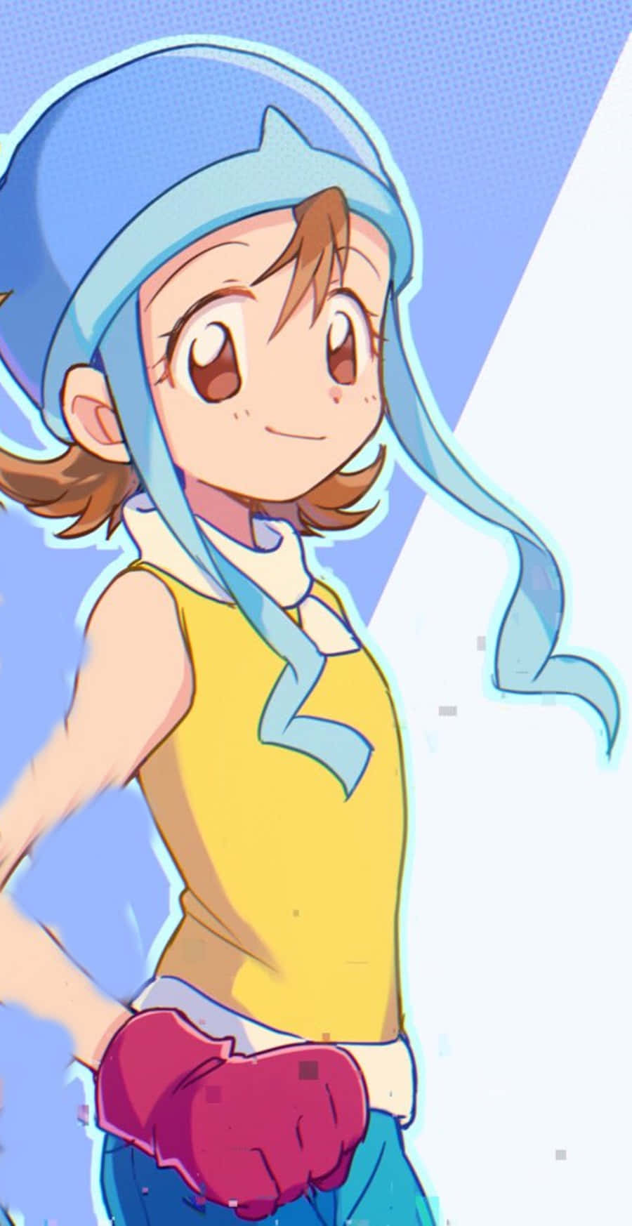 Sora Takenouchi, The Reliable Team Member Of "digimon Adventure" Wallpaper