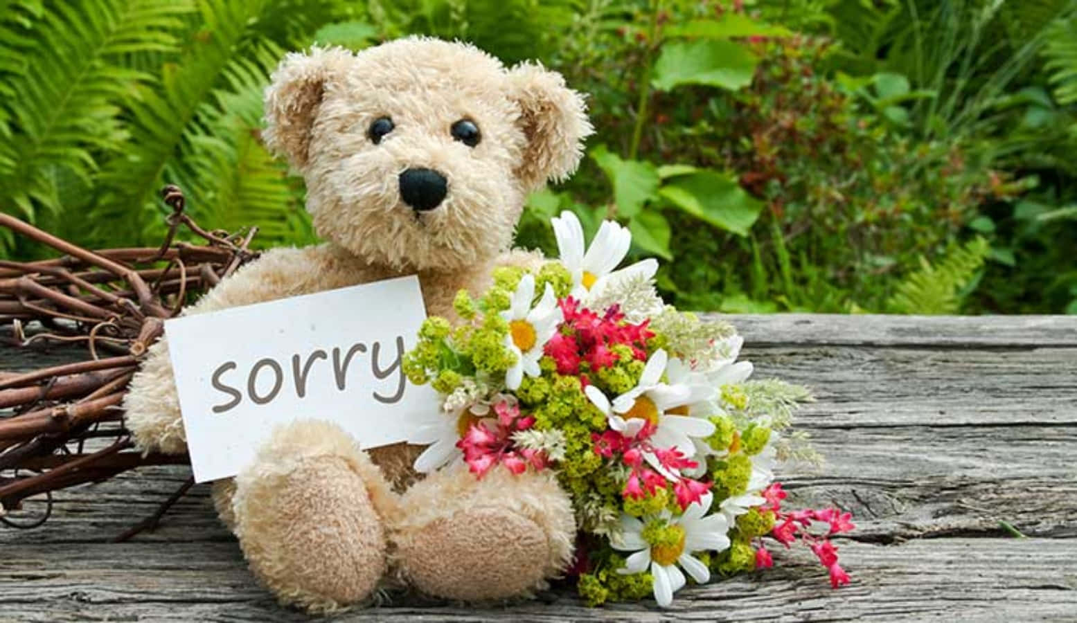 Sorry Teddy Bear Flowers Picture