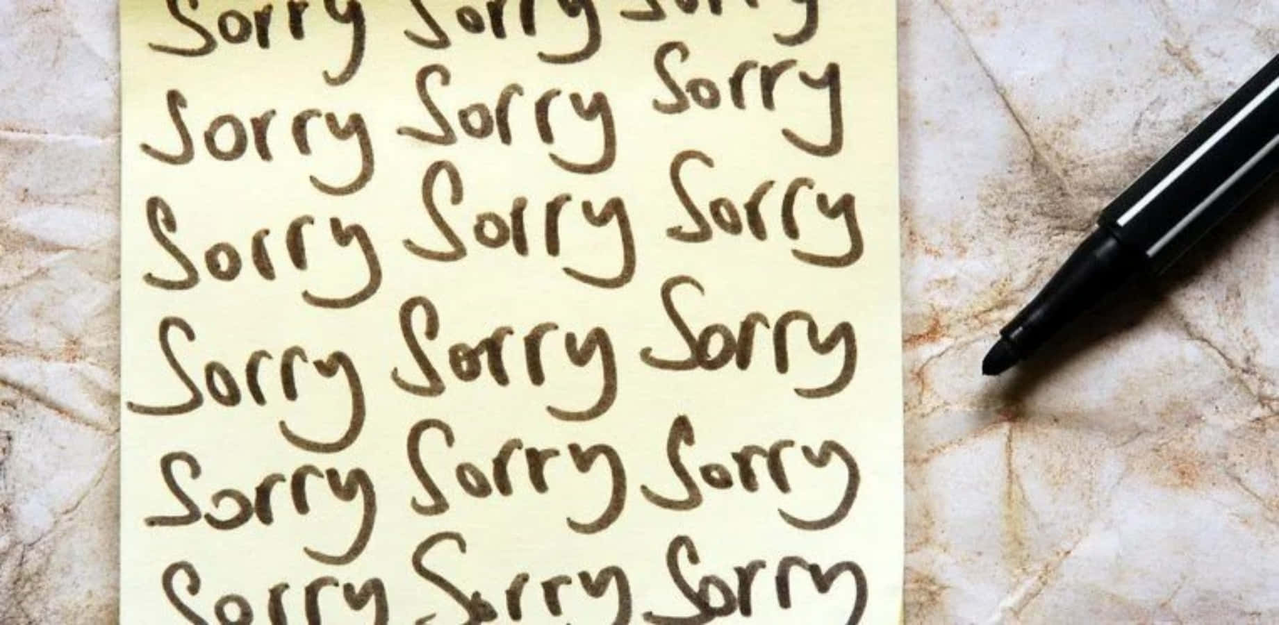 Sorry Apology Handwritten Note Picture