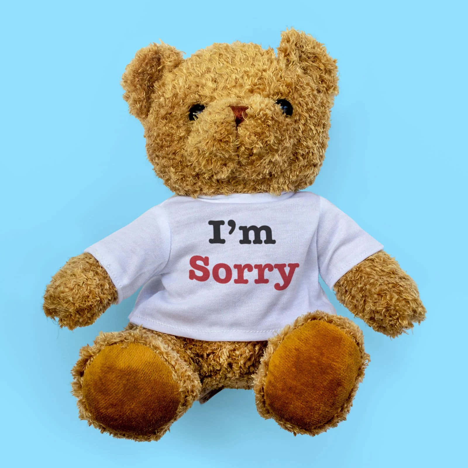 Förlåt,söt Bild På En Teddybjörn.