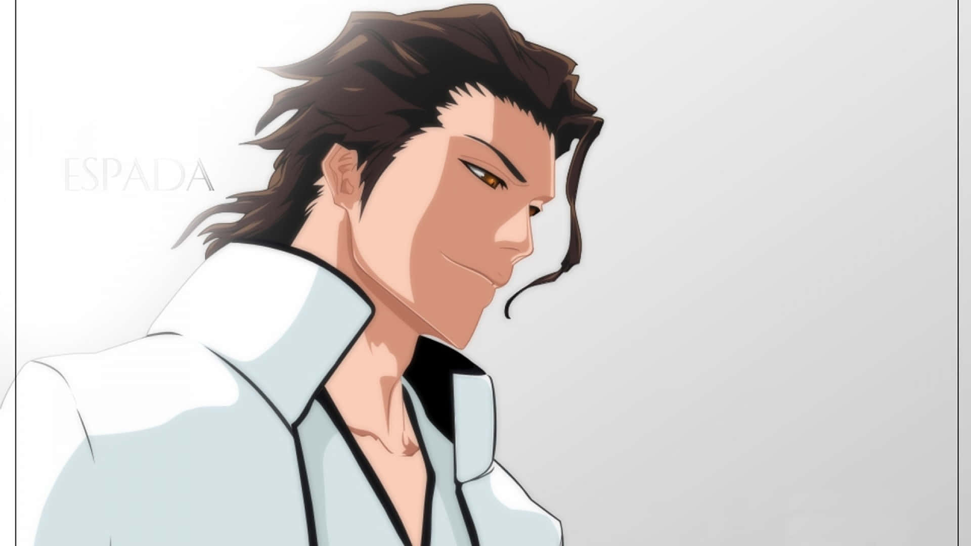 "Sosuke Aizen - Death can't stop ruthless ambition" Wallpaper
