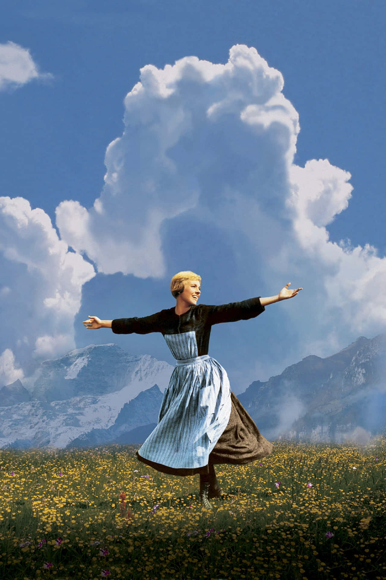 Sound Of Music_ Meadow Twirl Wallpaper