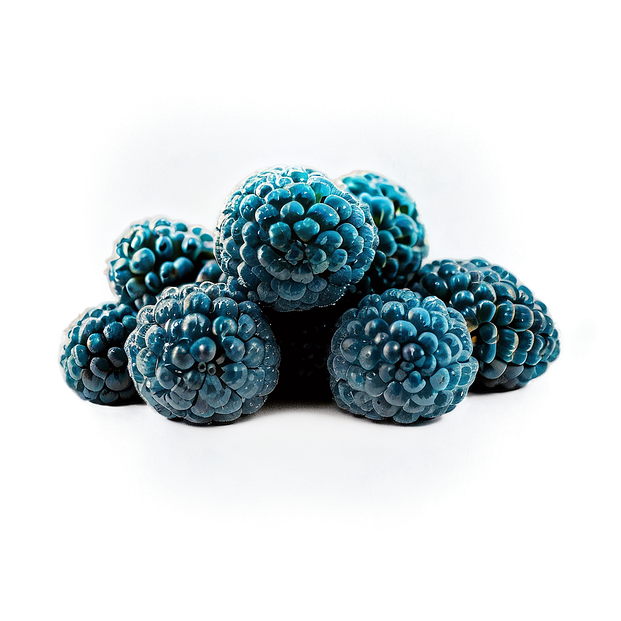 Sour Blue Raspberry Png Aap81 PNG