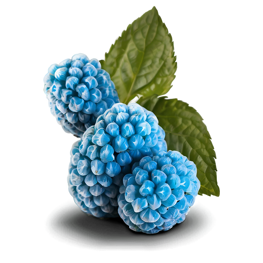Sour Blue Raspberry Png Qea PNG