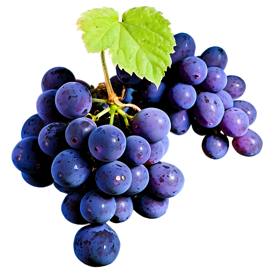Sour Grape Cluster Png Ddw90 PNG