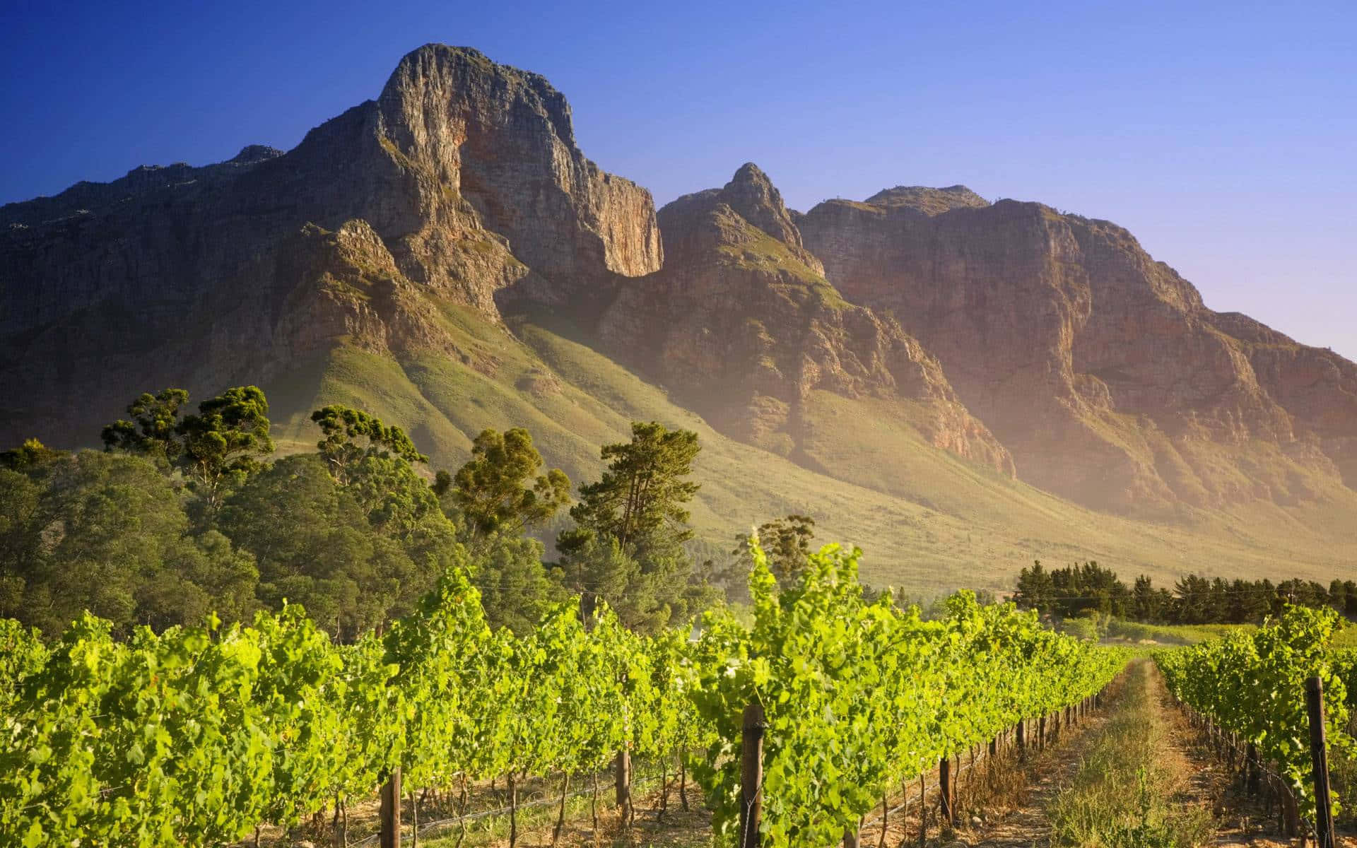 Stunning Landscape of South Africa at Sunset