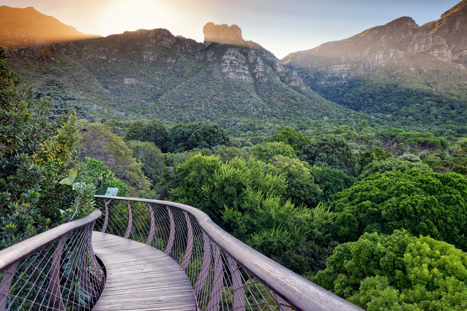 Stunning South African Landscape with Zebras and Giraffes