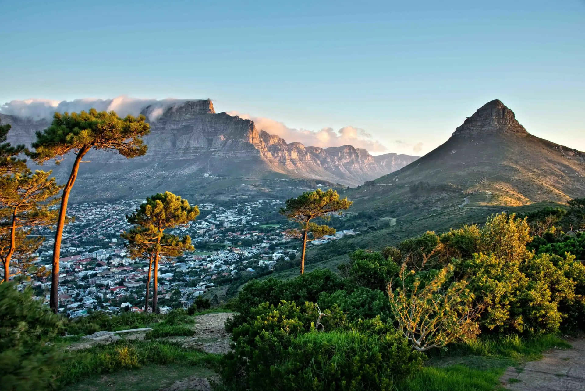 Aerial View of Cape Town, South Africa