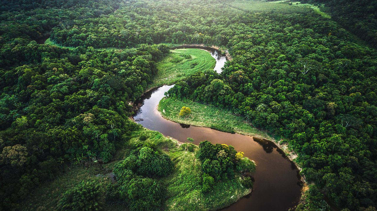 South America Brazil Amazon Rainforest