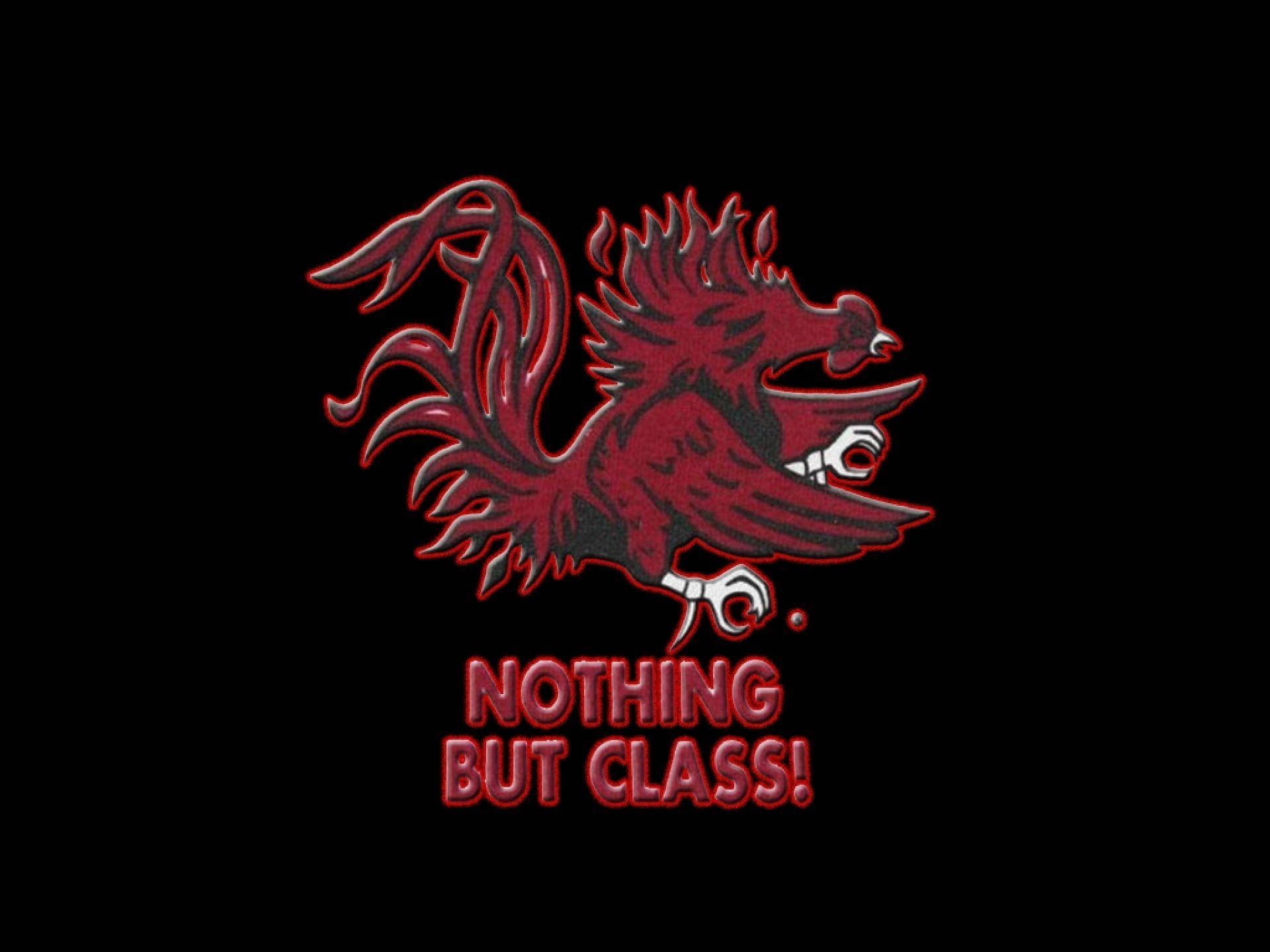 University Of South Carolina Gamecocks Logo Wallpaper