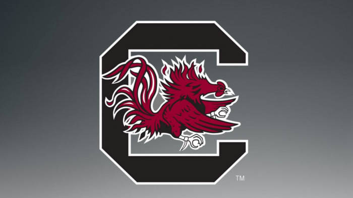South Carolina Gamecocks C Logo Design Wallpaper