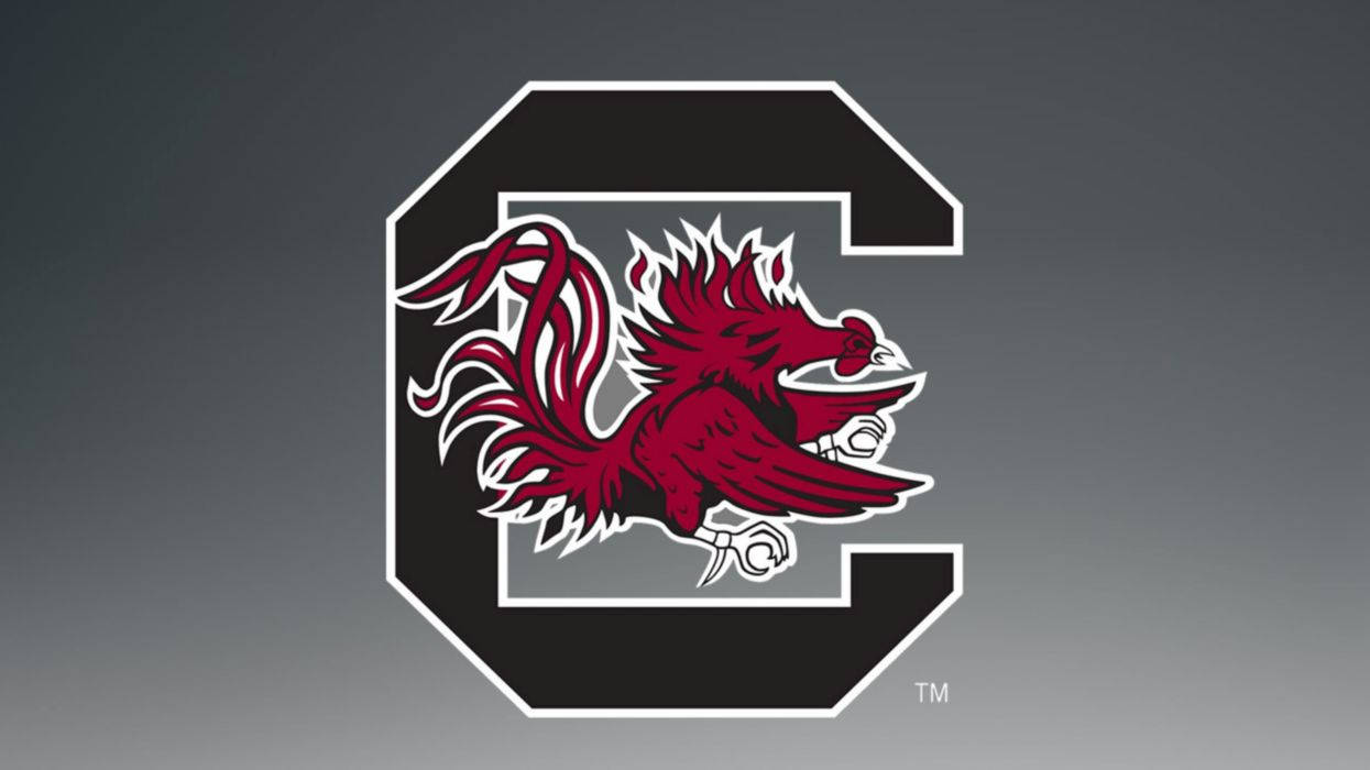 Proud Supporters of the South Carolina Gamecocks Wallpaper
