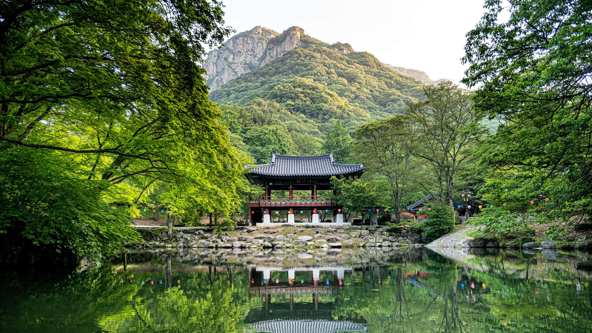 Südkorea2560 X 1440 Hintergrundbild