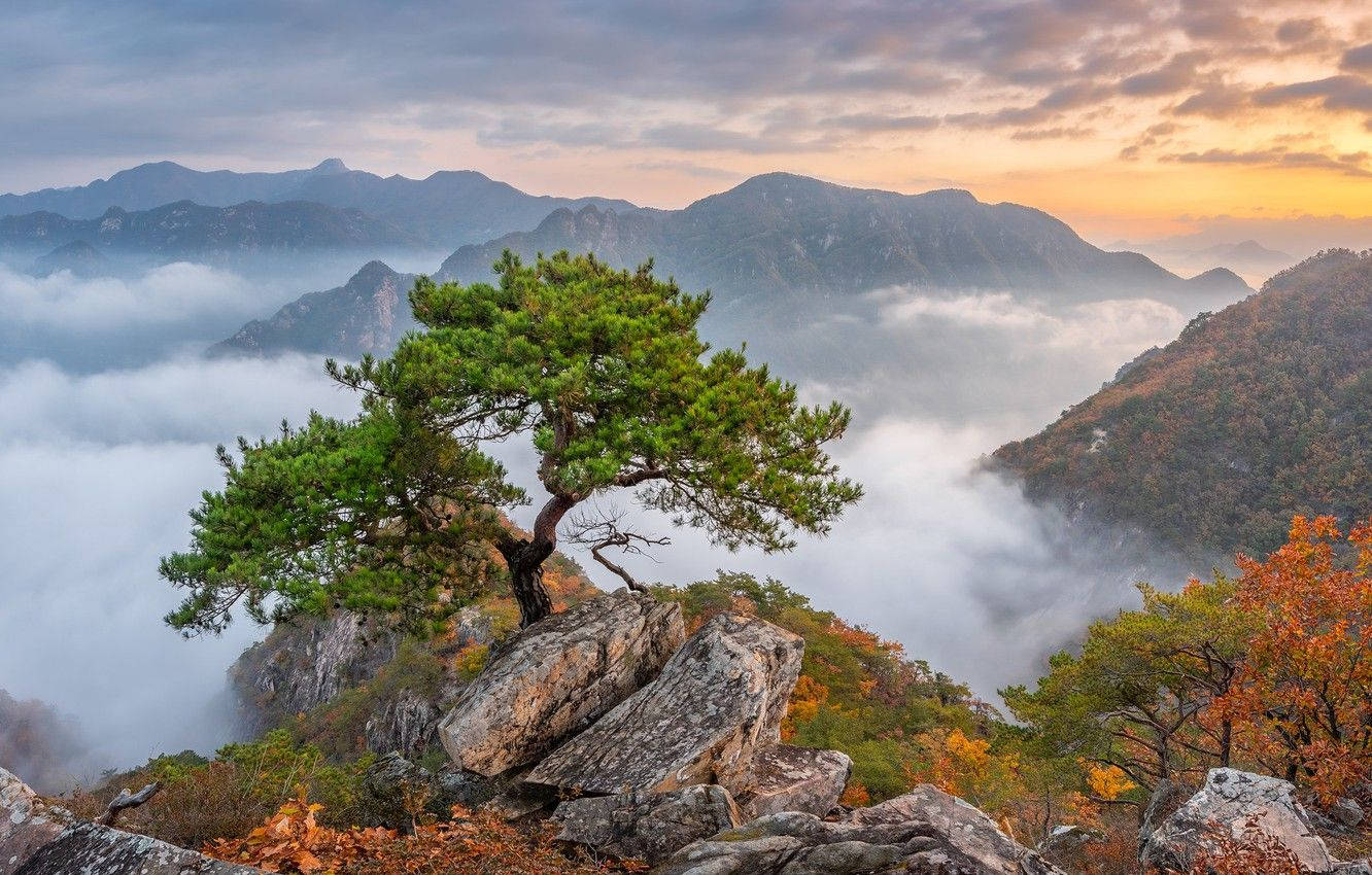 Südkoreanebelbedecktes Gebirge. Wallpaper