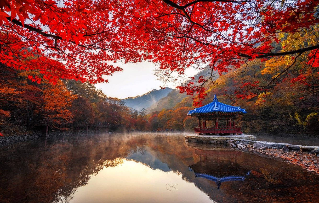Coreadel Sur Hd Parque Naejangsan Fondo de pantalla