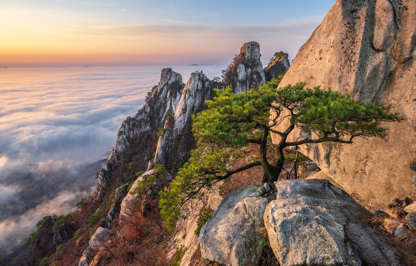 Amaneceren Las Montañas De Corea Del Sur. Fondo de pantalla