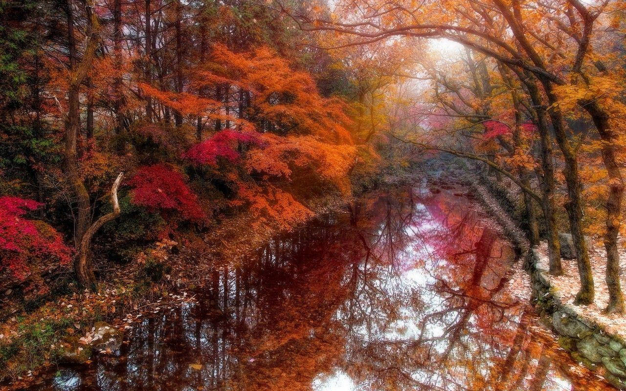 Coreadel Sud Durante L'autunno Sfondo