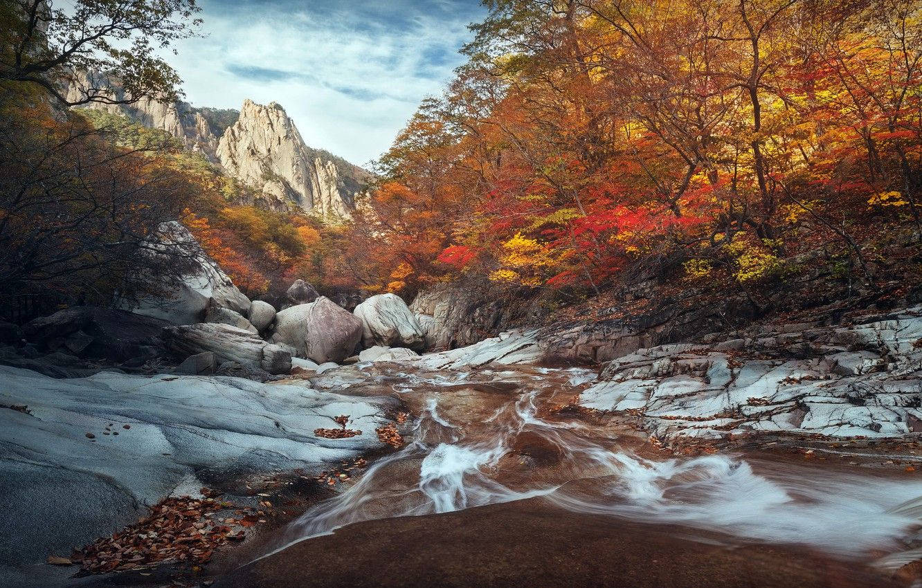 South Korea River During Autumn Wallpaper